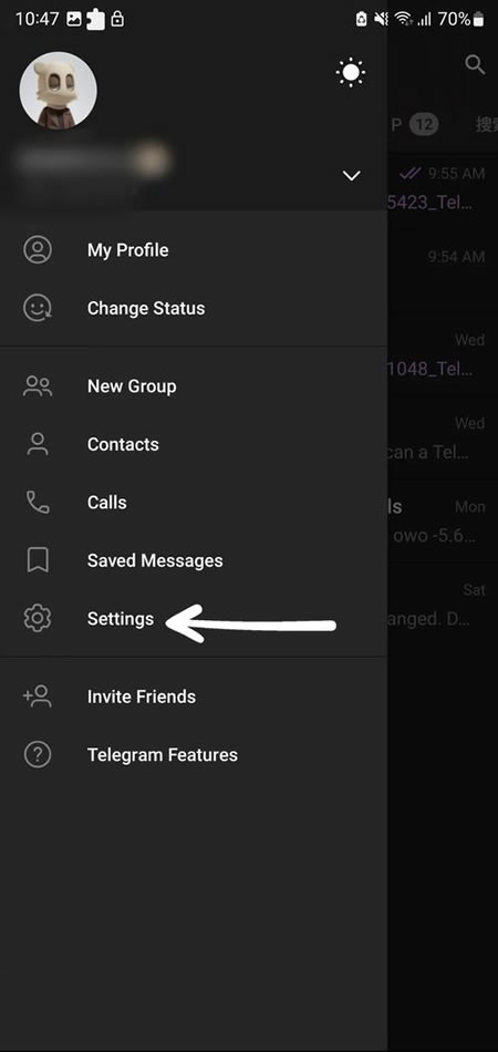 二、 如何在 Telegram 上下载视频和图片